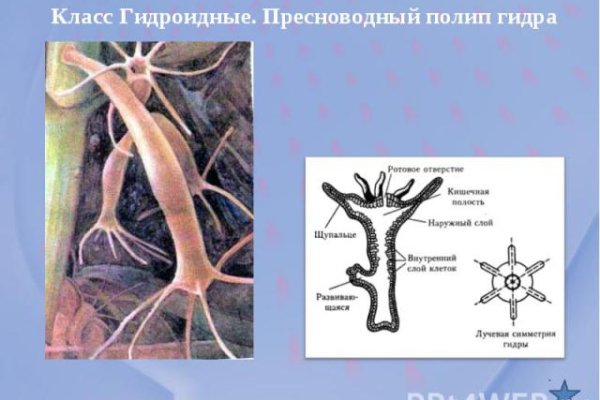 Кракен купить в москве порошок