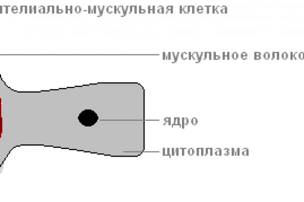 Ссылка на кракен тор магазин